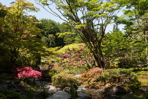 Overall-Japanese-Garden-View