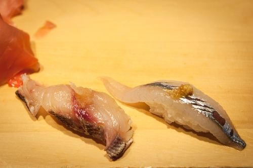 Pigfish-and-needlefish.jpg